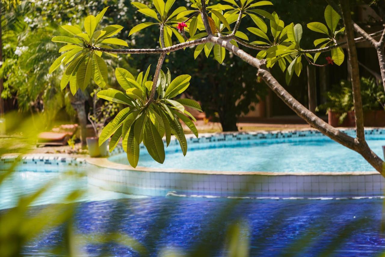 Pousada Morada Dos Ventos Praia de Pipa ภายนอก รูปภาพ